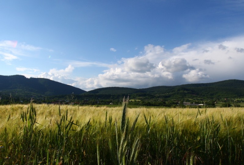 Kezdőlap Hosszúhetény Községi Önkormányzat